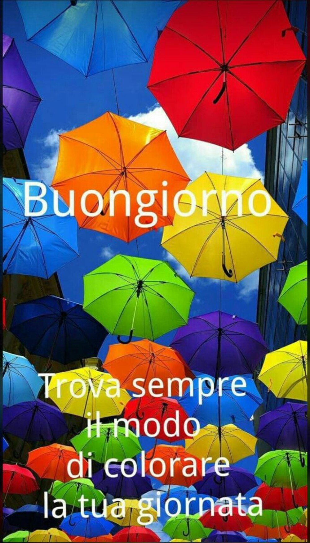 Buongiorno trova sempre il modo di colorare la tua giornata