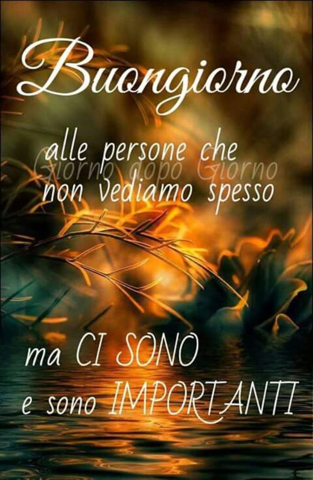 Buongiorno alle persone che non vediamo spesso, ma ci sono e sono importanti