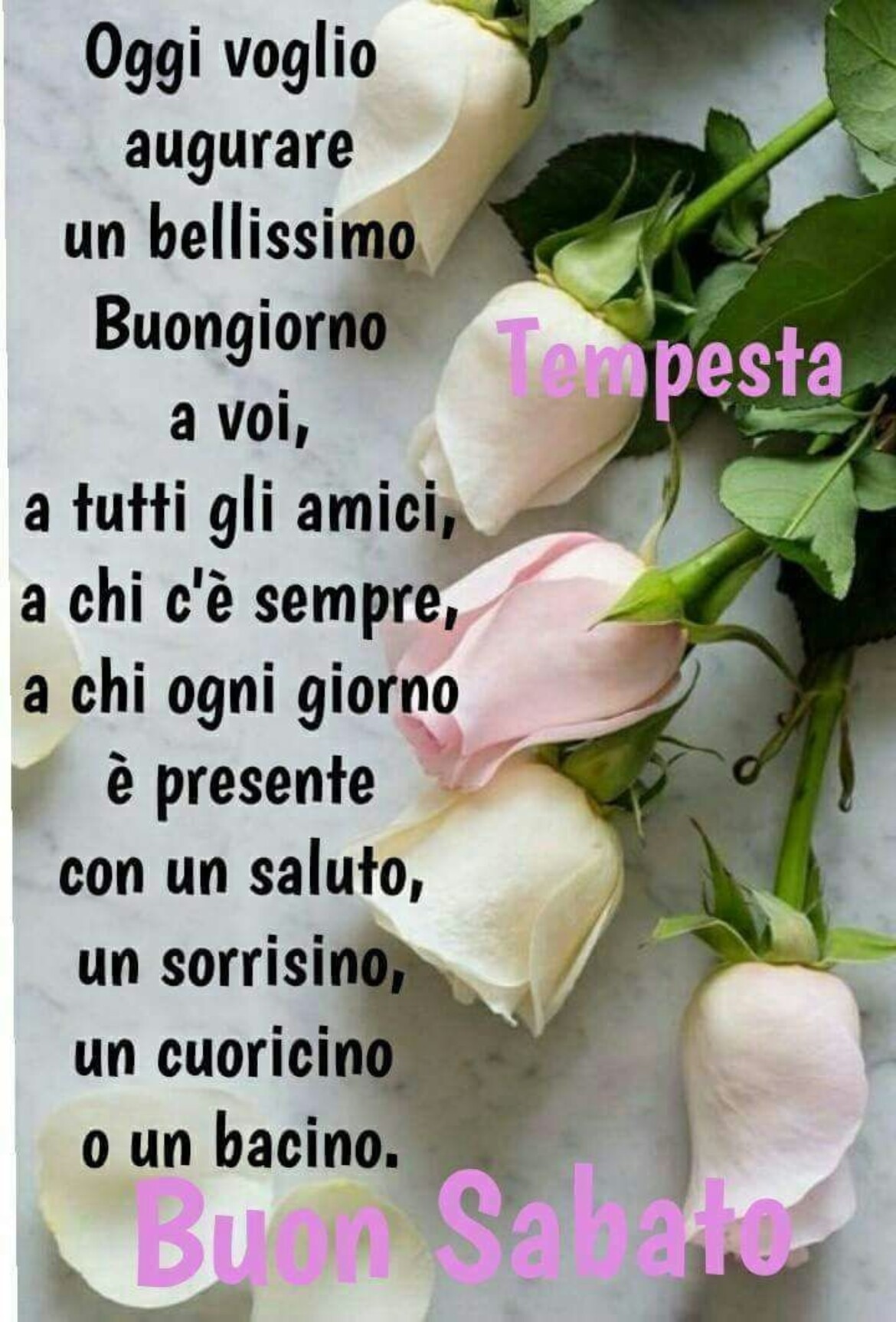 Buon Sabato oggi è un bellissimo buongiorno a voi, a tutti gli amici, a chi c'è sempre, a chi ogni giorno è presente con un saluto, un sorrisino, un cuoricino o un bacino. Buon Sabato