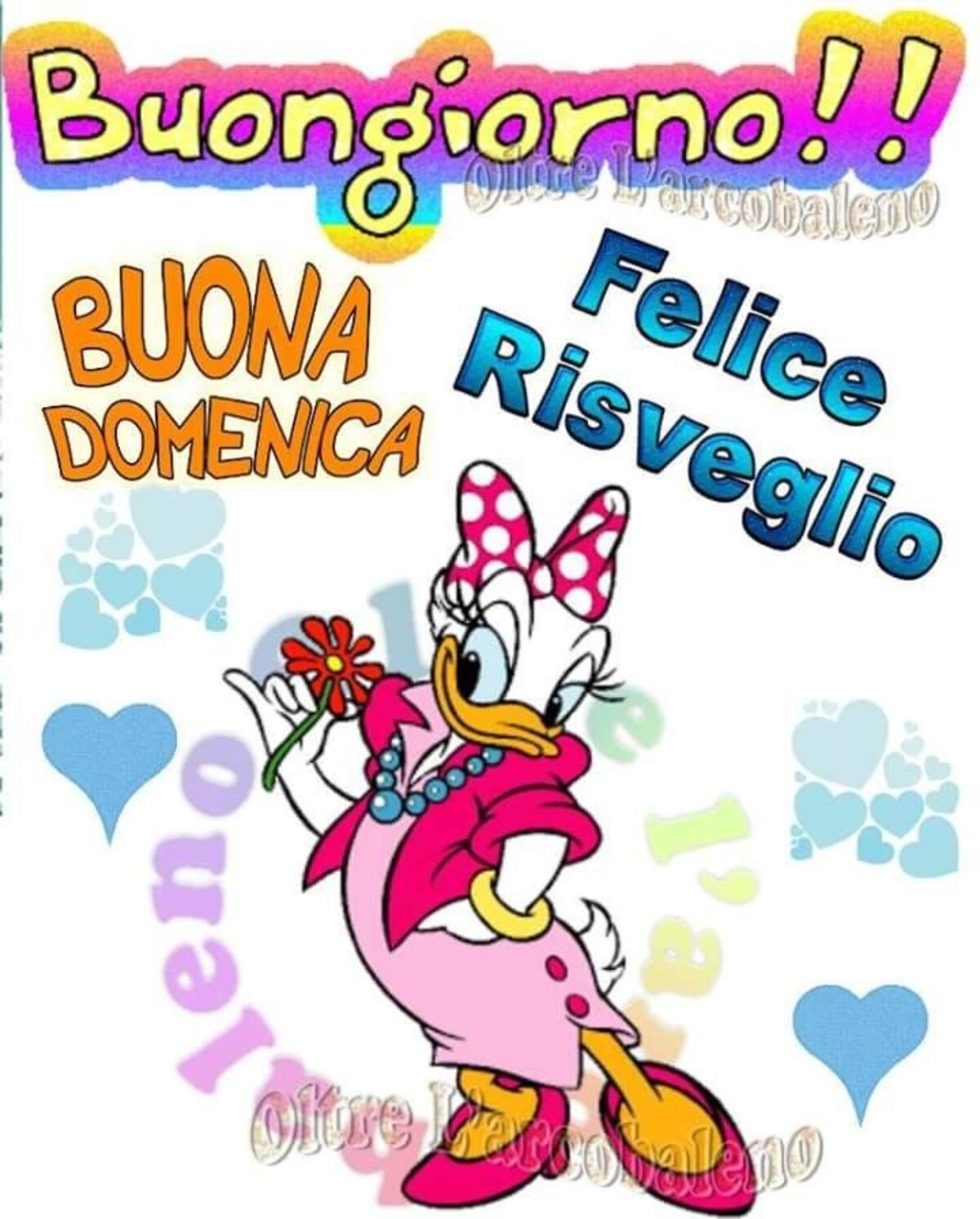 Buongiorno!! Buona Domenica Felice Risveglio