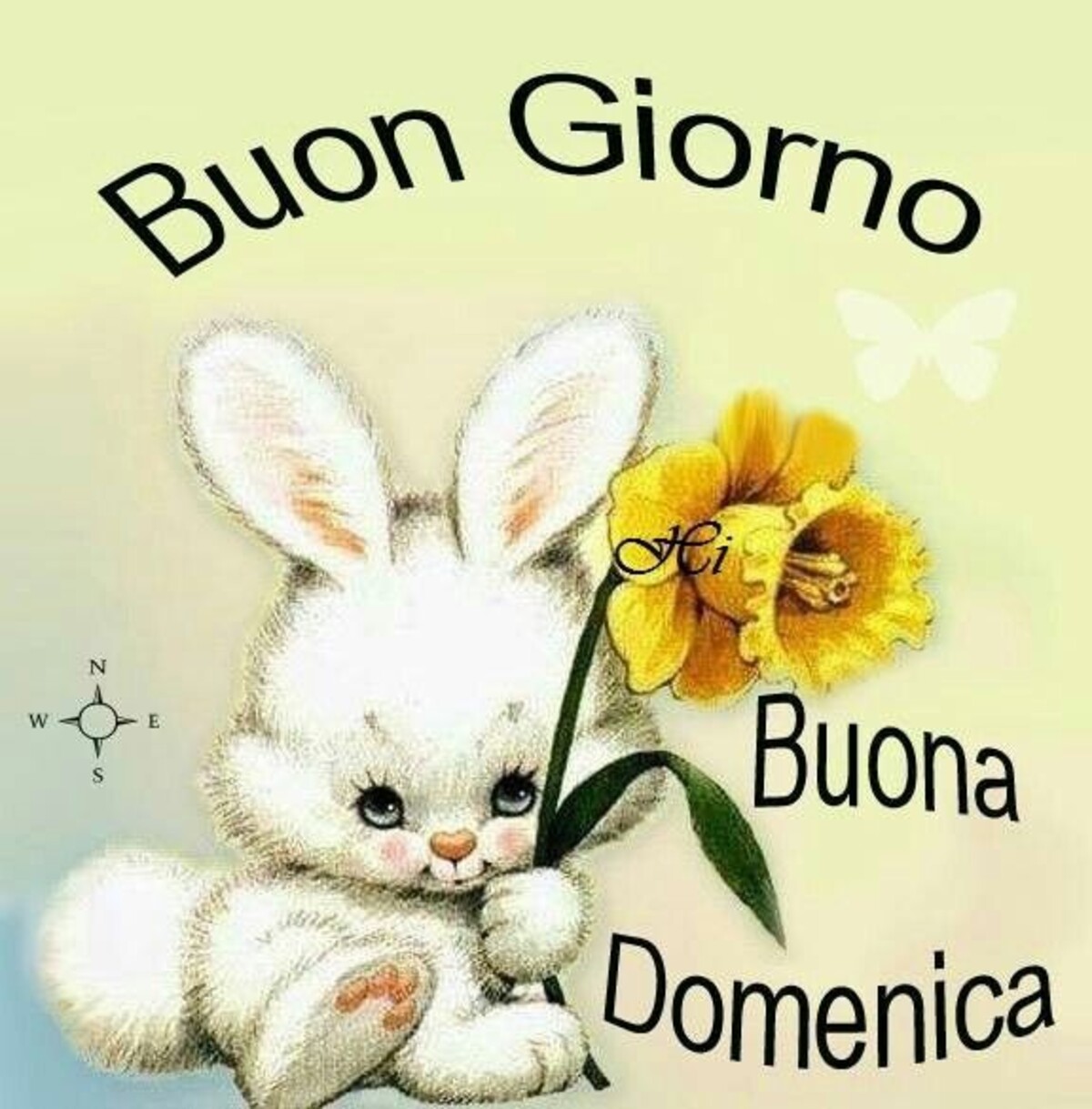 Buongiorno e Buona Domenica