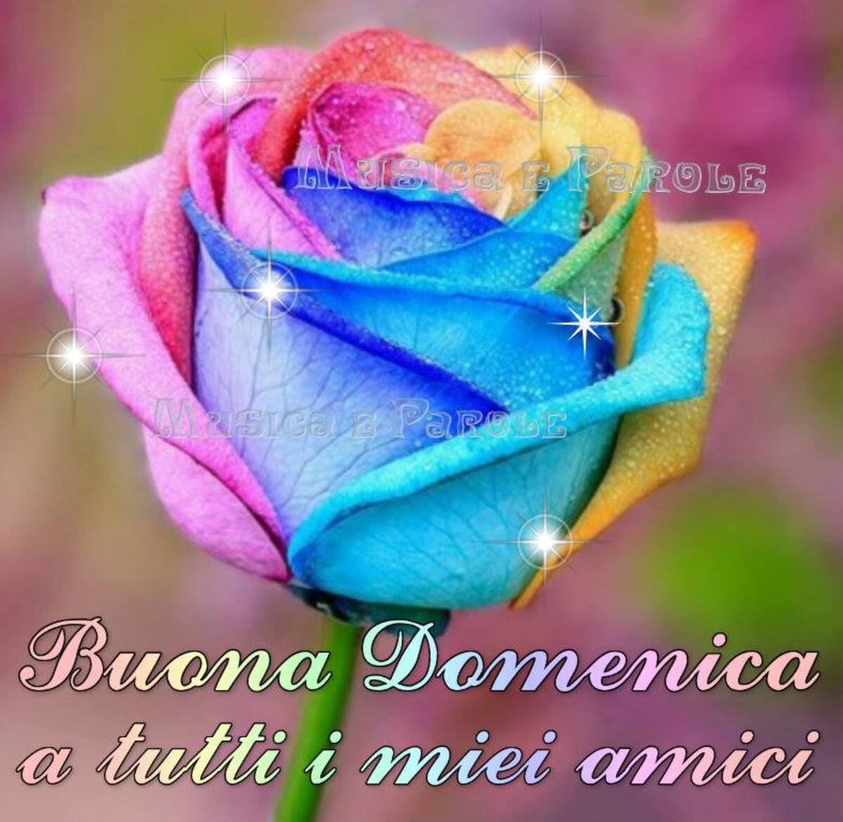 Buona Domenica a tutti i miei amici