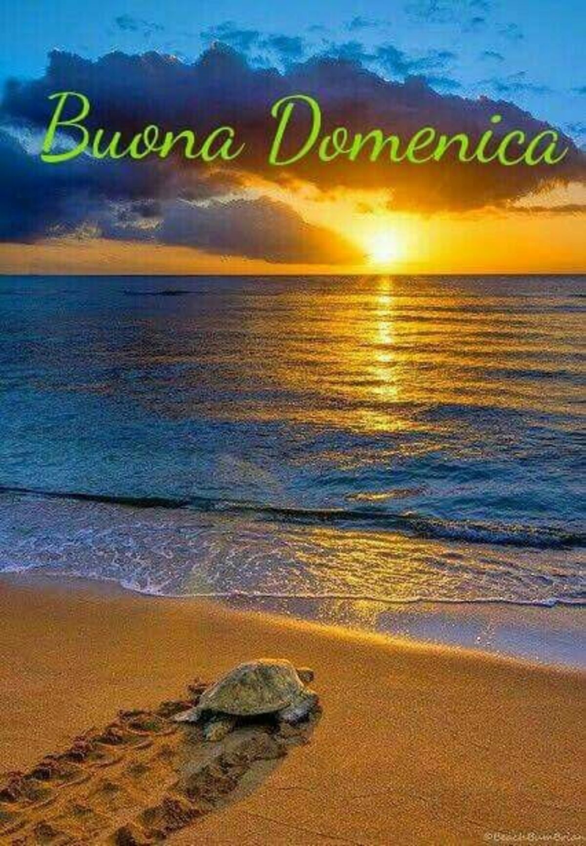 Buona Domenica