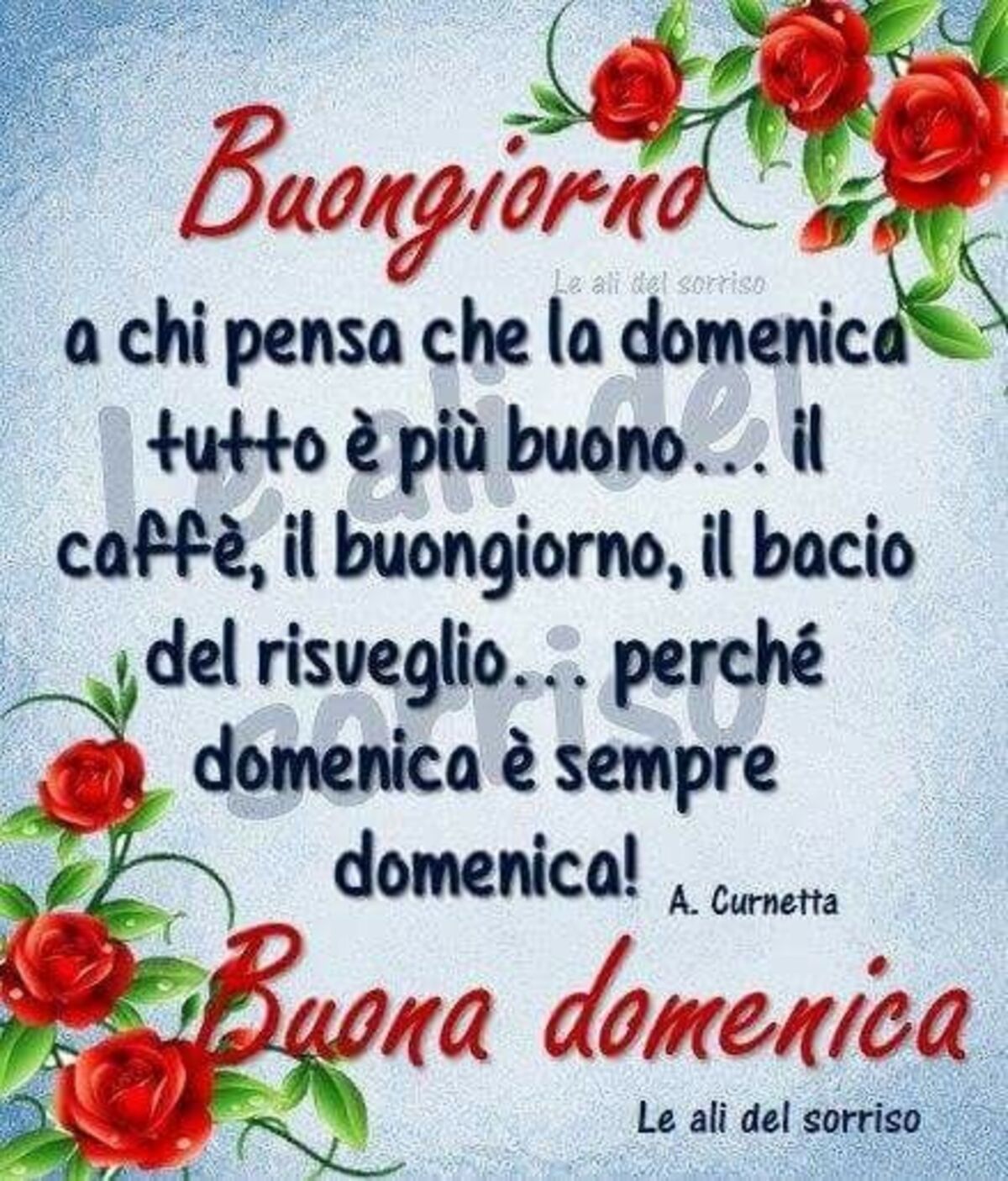 Buongiorno a chi passa che la domenica tutto è più buono...il caffè, il buongiorno, il bacio del risveglio...perchè domenica è sempre domenica! Buona Domenica