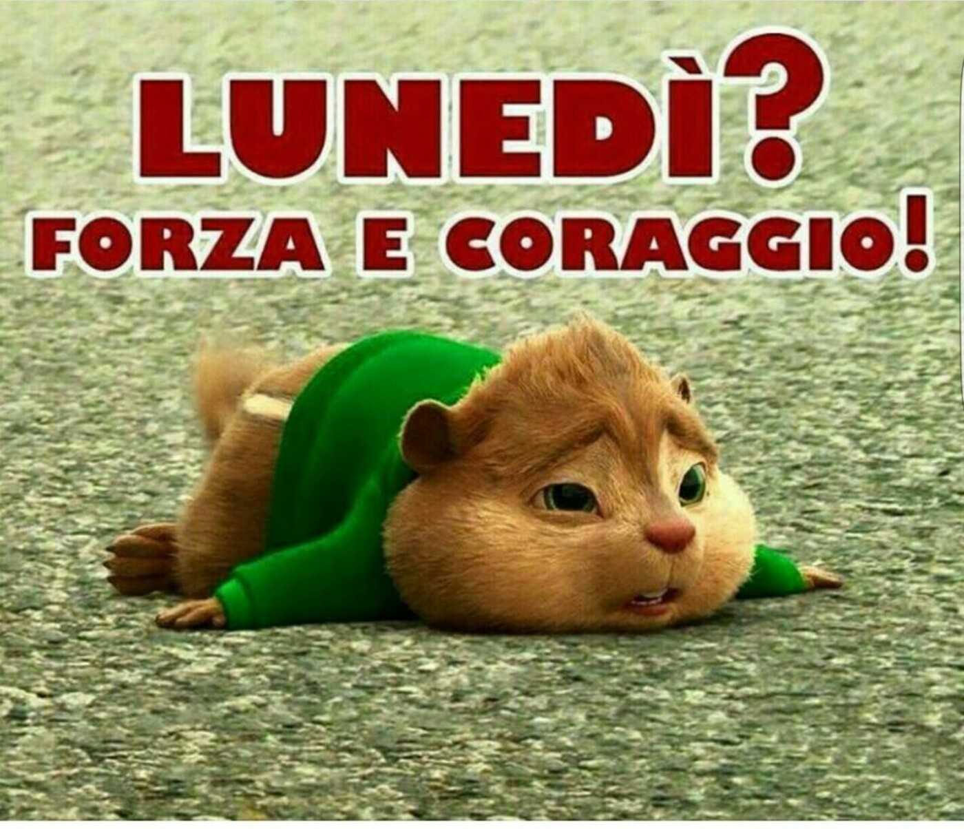 214+ Buon Lunedì Link simpatici e immagini belle - Pagina ...