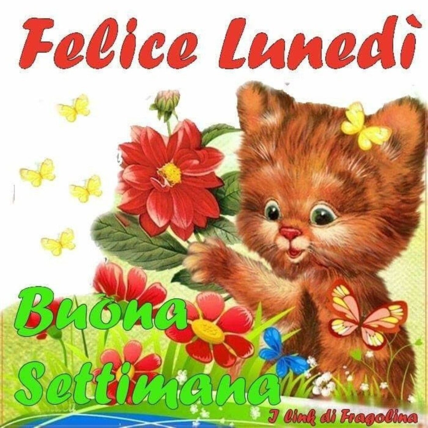 Buon lunedi картинки смешные