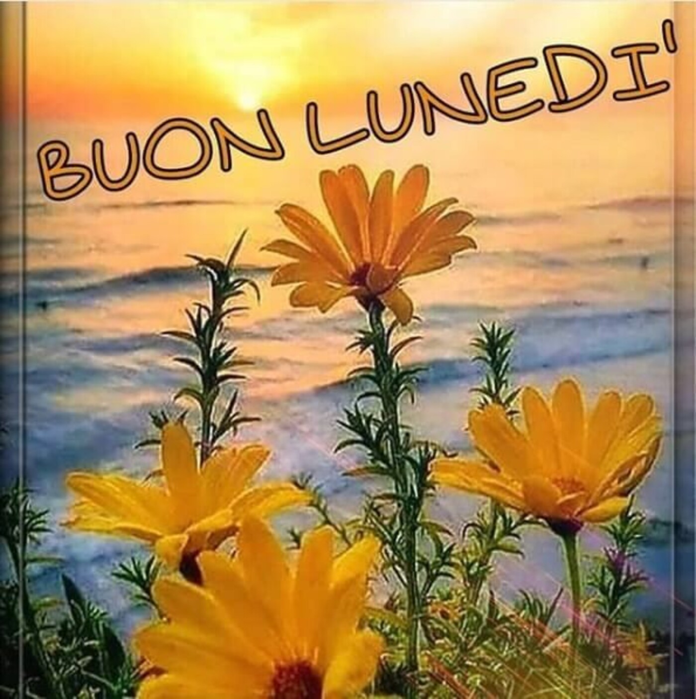 214+ Buon Lunedì Link simpatici e immagini belle - Pagina 2 di 22