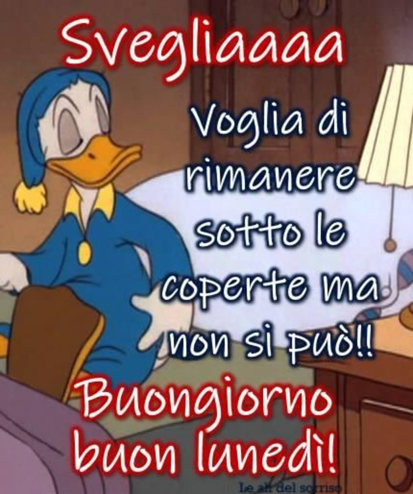 Svegliaaaaa voglia di rimanere sotto le coperte ma non si può!! Buongiorno buon lunedì