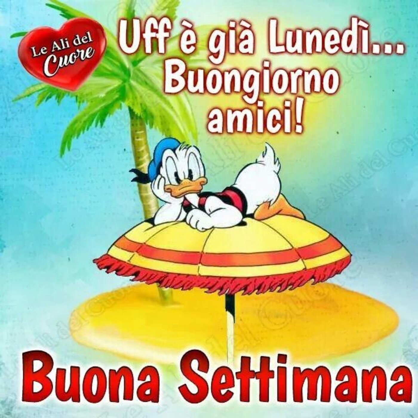 Uff è già lunedì...buongiorno amici! Buona settimana