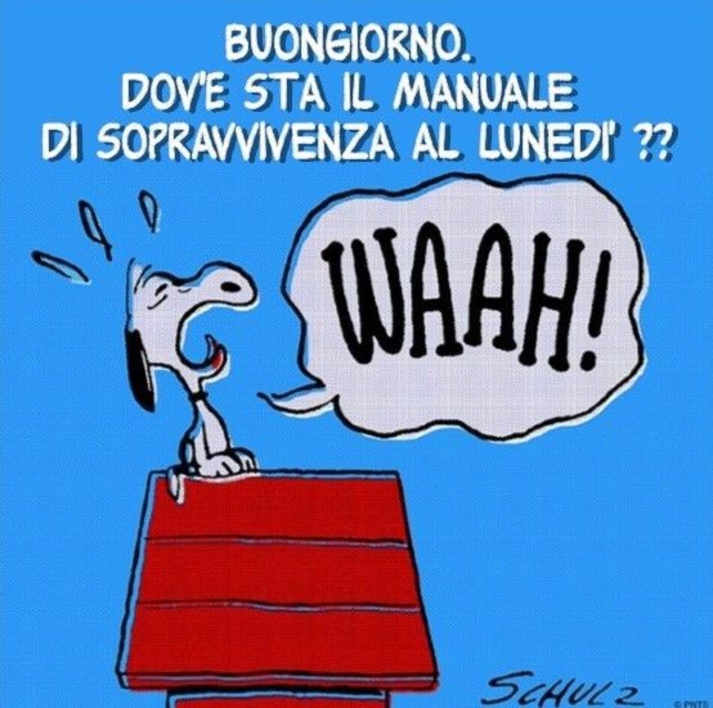 Buongiorno, dove sta il manuale di sopravvivenza al lunedì?