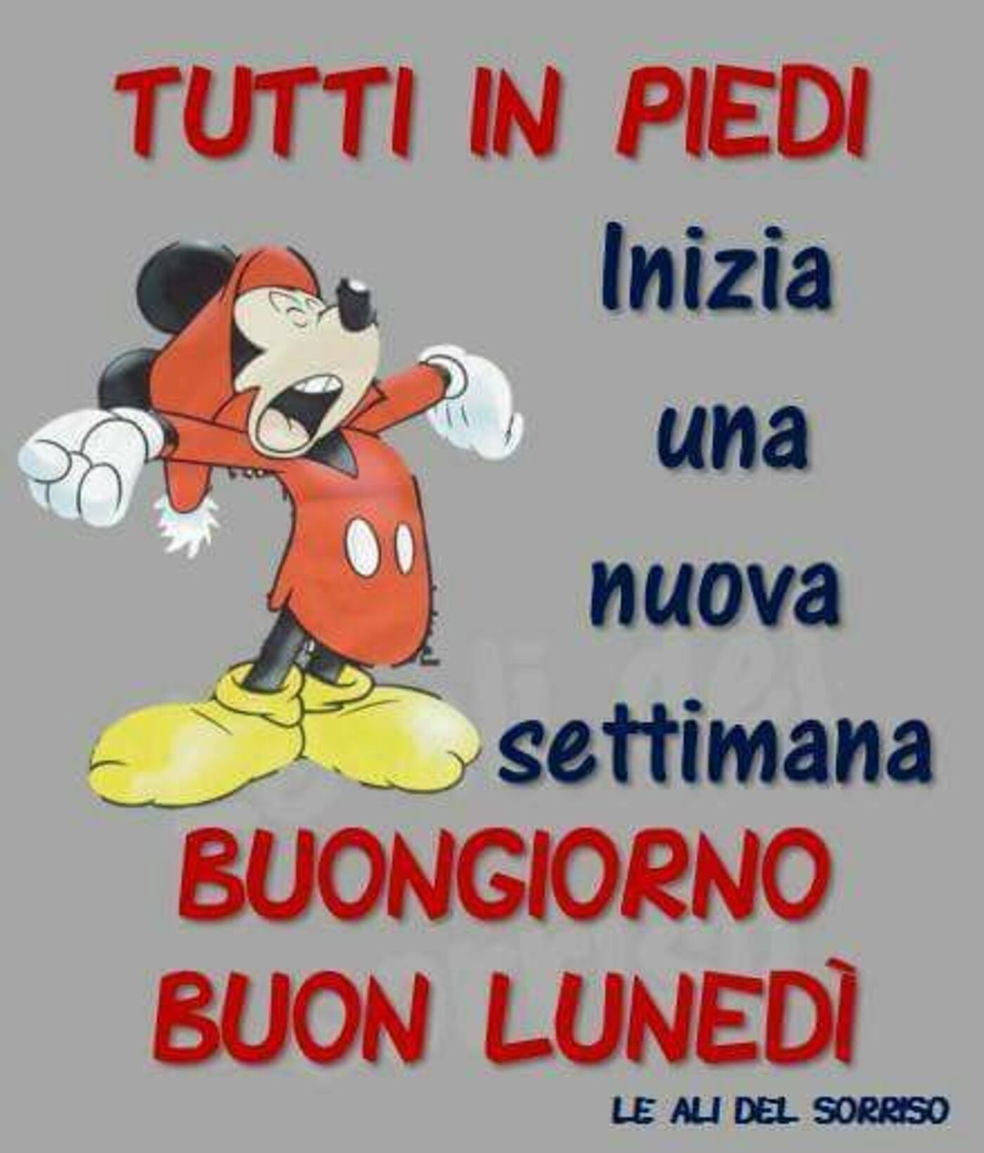 Tutti in piedi inizia una nuova settimana Buongiorno Buon Lunedì