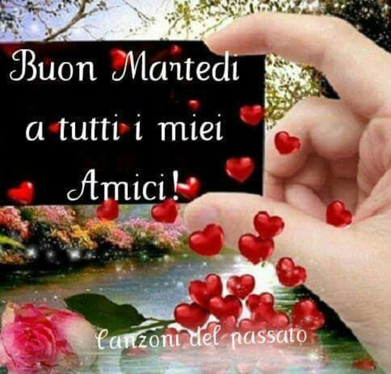 Buon Martedì a tutti i miei amici