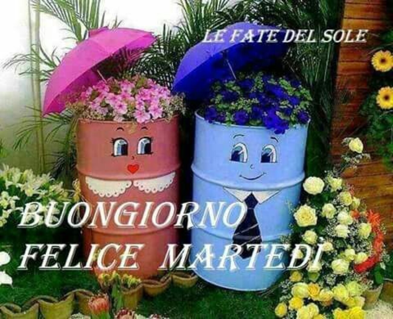 Buongiorno felice martedì