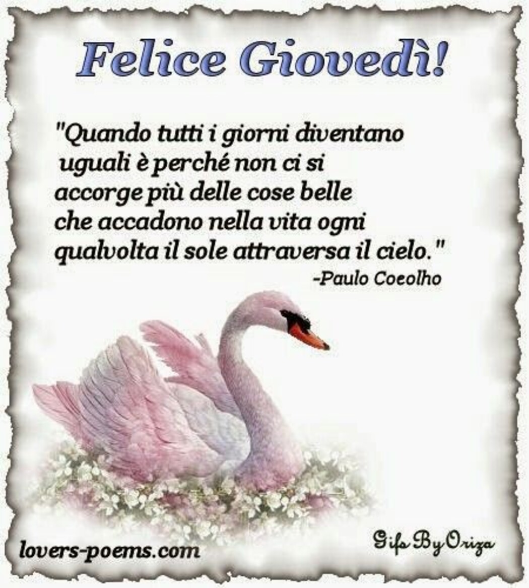 Felice Giovedì! Quando tutti i giorni diventano uguali è perchè non ci si accorge più delle cose belle che accadono nella vita ogni qualvolta il sole attraversa il cielo