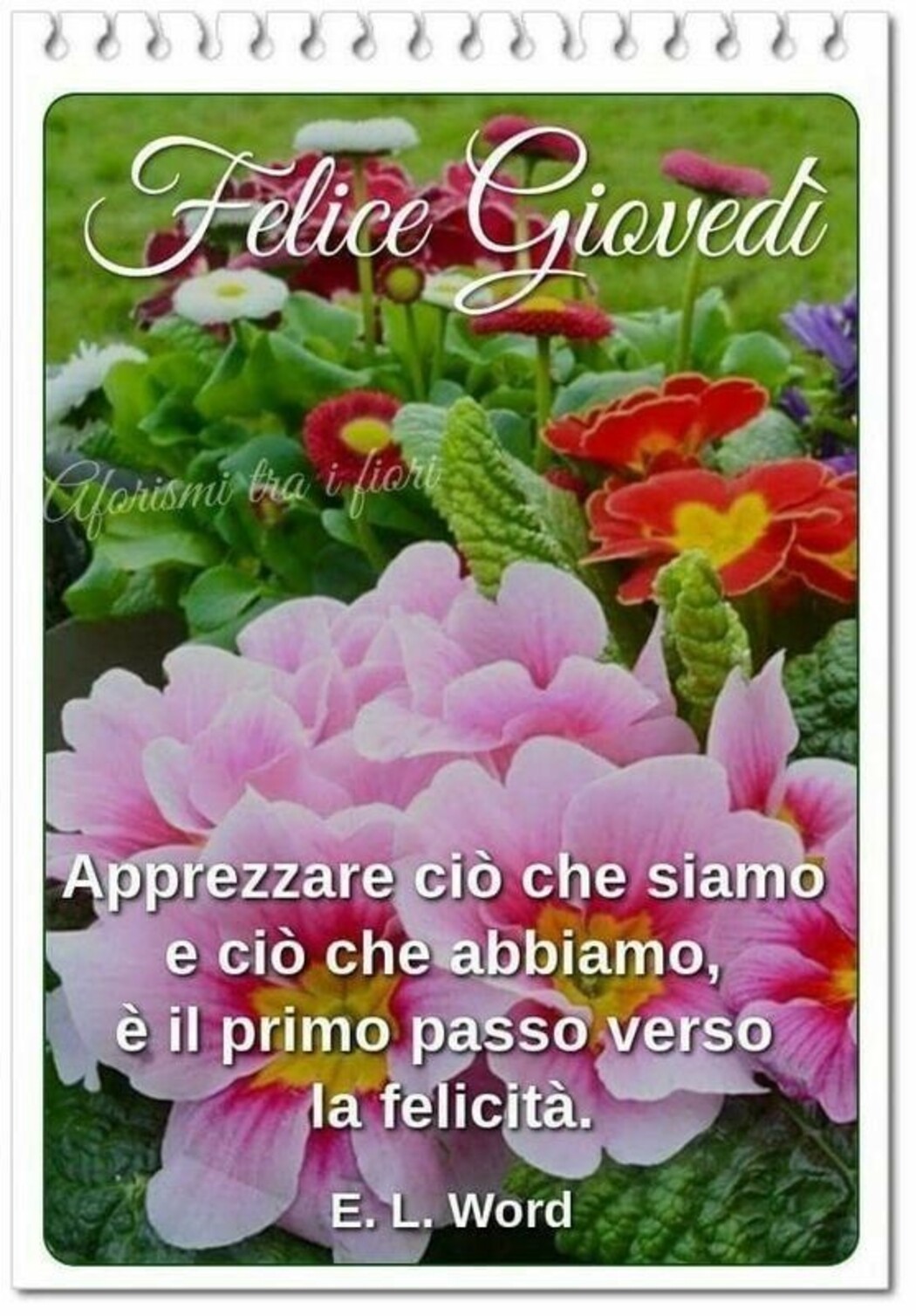 Felice Giovedì apprezzare ciò che siamo e ciò che abbiamo, è il primo passo è la felicità