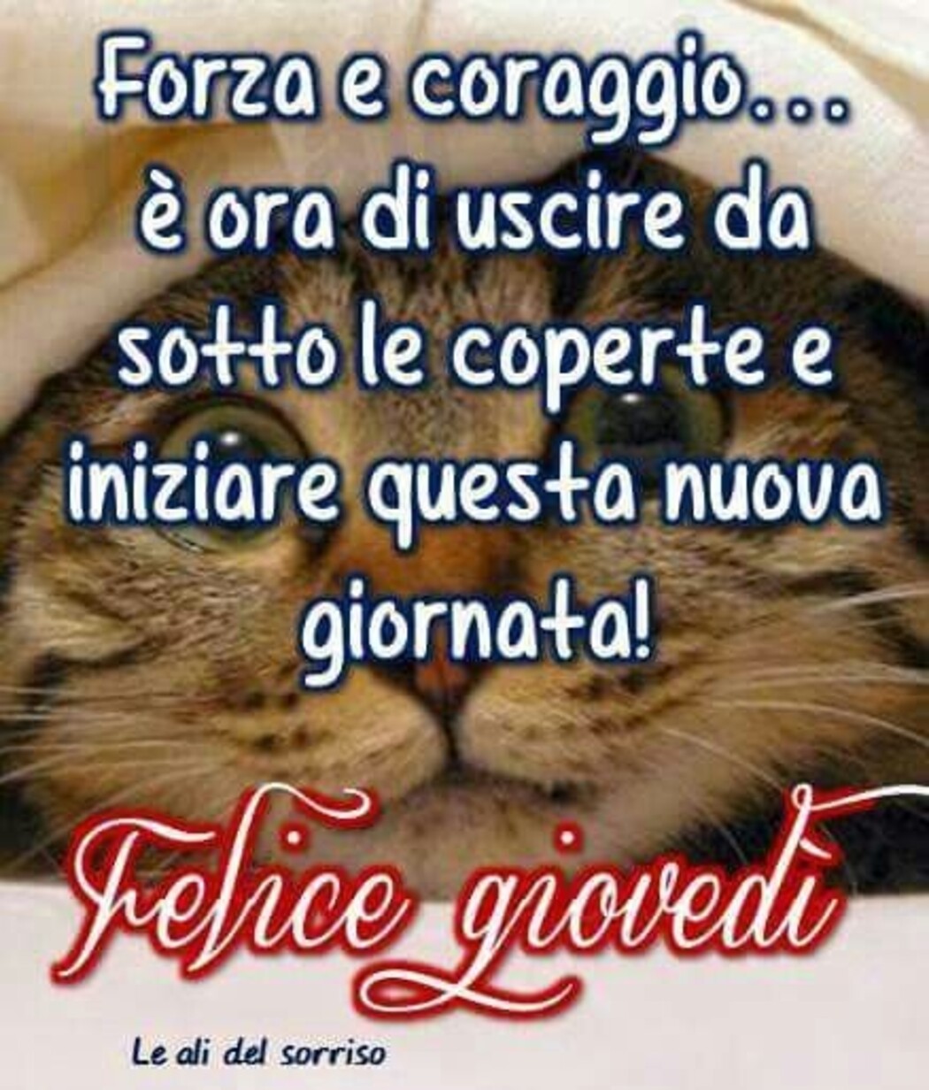 Forza e coraggio...è ora di uscire da sotto le coperte e iniziare questa nuova giornata! Felice giovedì