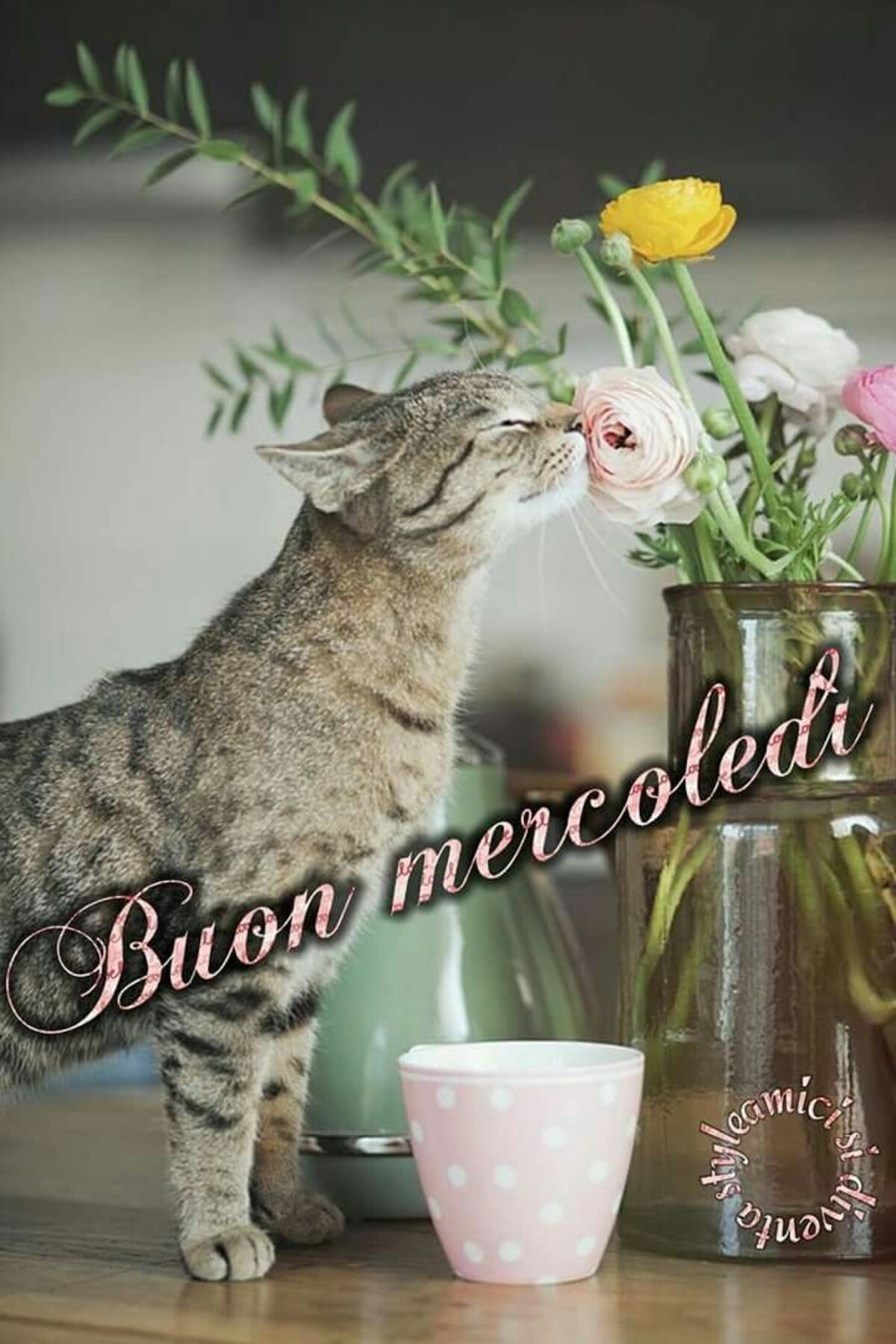 Buon Mercoledì