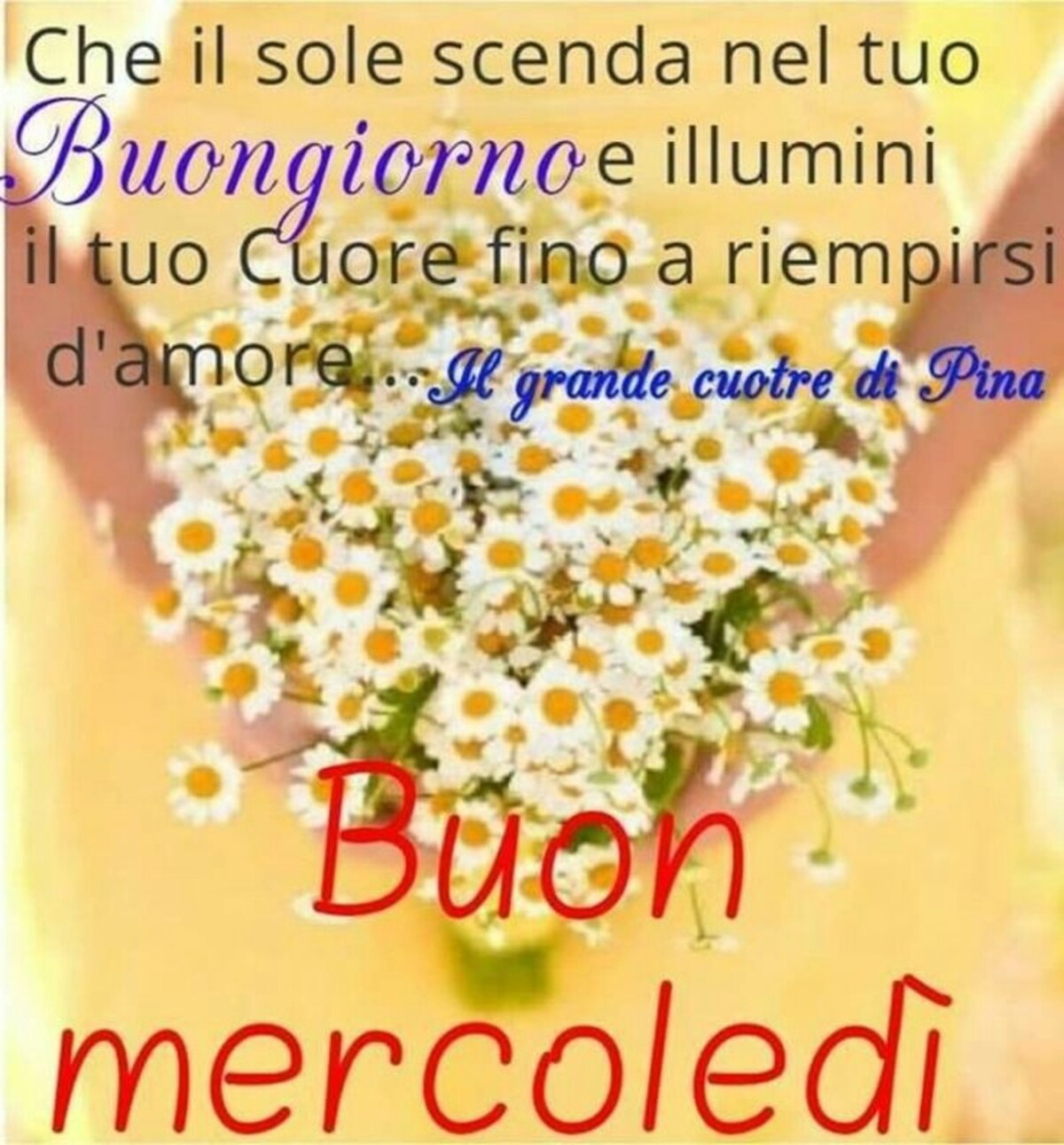 Che il sole scenda nel tuo buongiorno illumini il tuo cuore fino a riempirsi d'amore....Buon Mercoledì