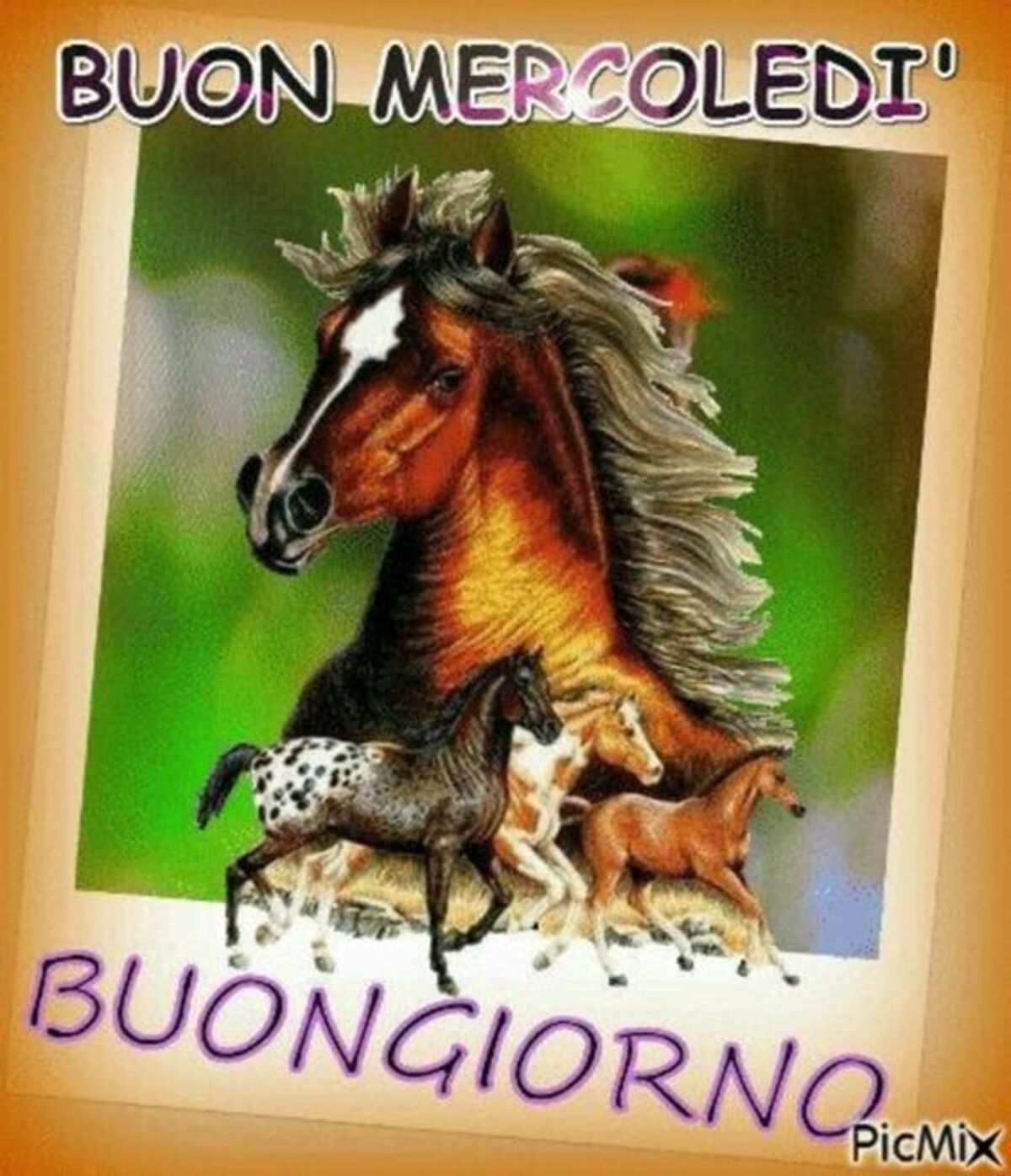 Buon Mercoledì Buongiorno