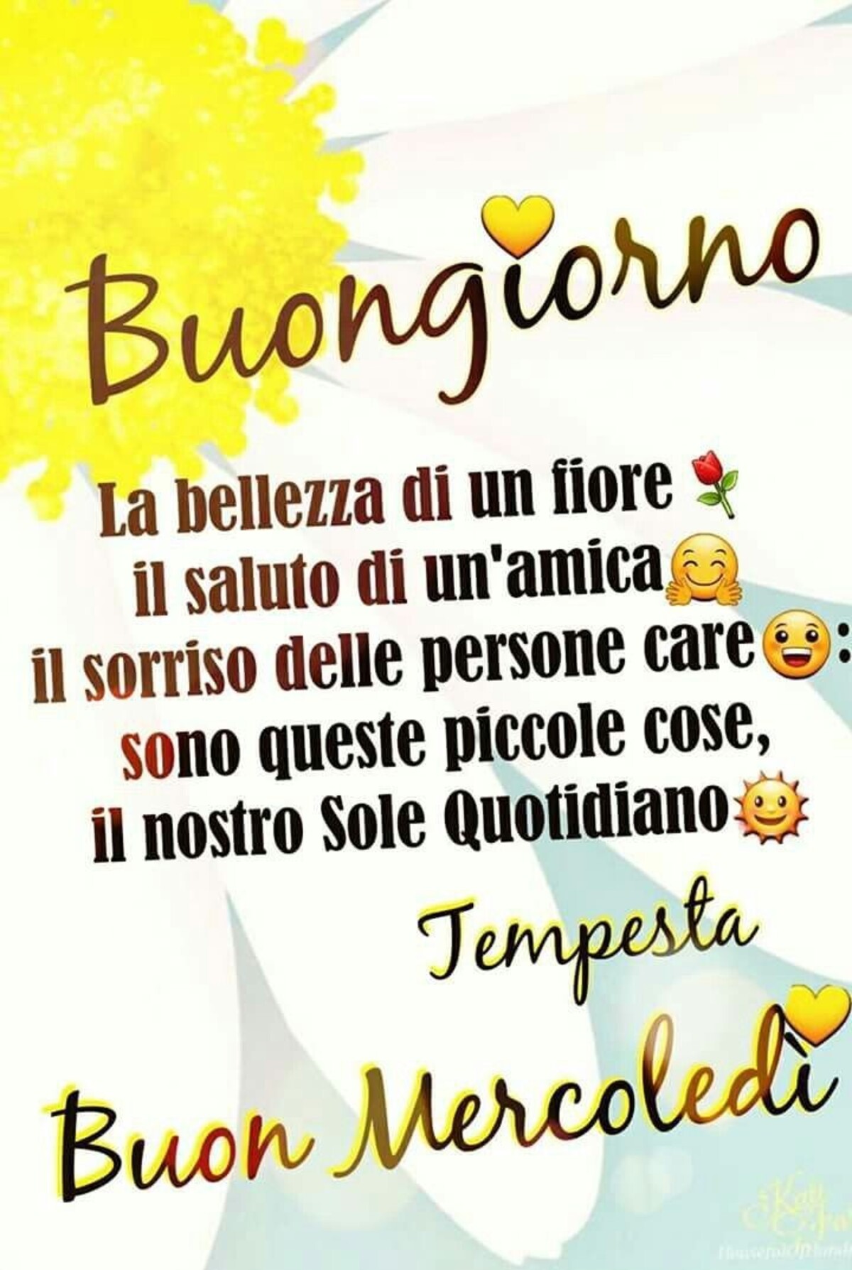 Buongiorno la bellezza di un fiore, il saluto di un'amica, il sorriso delle persone care: sono queste piccole cose il nostro Sole Quotidiano! Buon Mercoledì