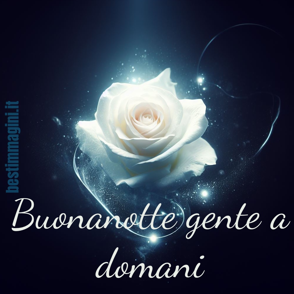 Augurare la buonanotte sui gruppi con una rosa bianca a formato immagine