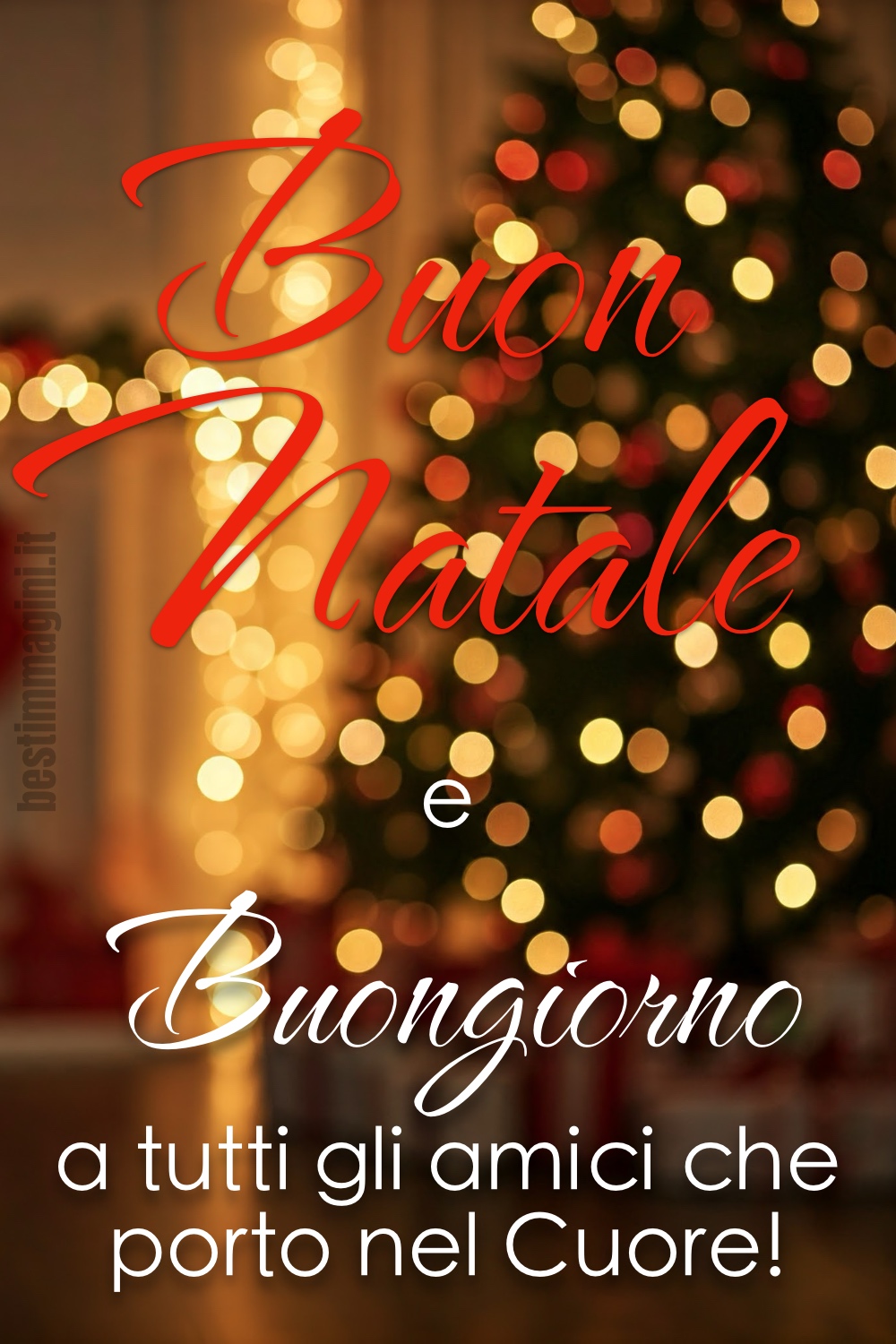 Buon Natale e Buongiorno a tutti gli amici che porto nel Cuore!